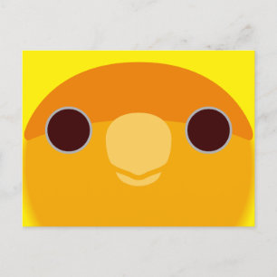The face of a orange-faced lutino peach-faced love holiday postcard
