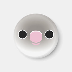 The face of a Pastel blue masked lovebird Magnet