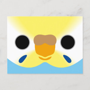The face of a pastel rainbow female budgie holiday postcard