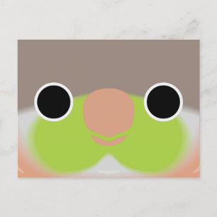 The face of a Pineapple Green-cheeked parakeet Holiday Postcard