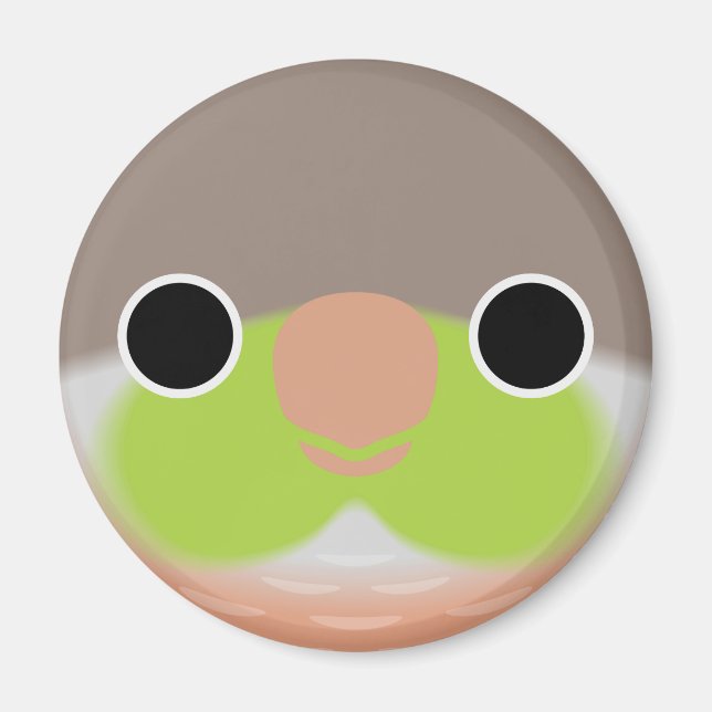 The face of a Pineapple Green-cheeked parakeet Magnet (Front)