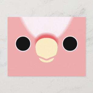 The face of a Pink Cockatoo Holiday Postcard