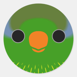 The face of a Pygmy lorikeet Classic Round Sticker