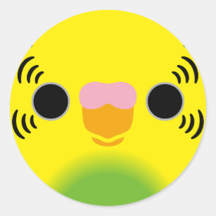The face of a recessive pied budgie classic round sticker