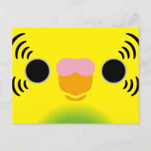 The face of a recessive pied budgie holiday postcard