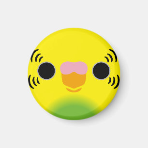 The face of a recessive pied budgie magnet