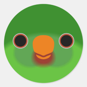 The face of a Red-chinned lorikeet Classic Round Sticker