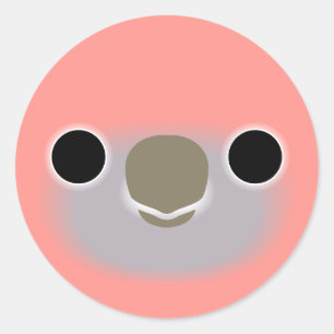 The face of a Rosa Bourke's parrot Classic Round Sticker
