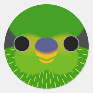 The face of a Striated lorikeet Classic Round Sticker