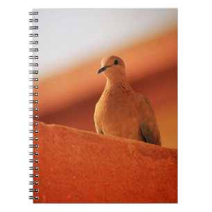 The Face of Determination  Notebook
