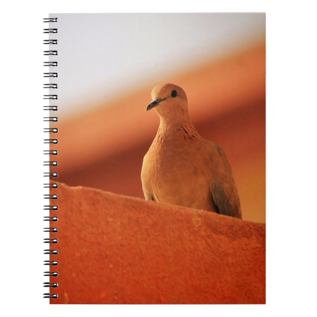 The Face of Determination  Notebook (Front)