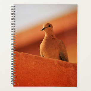 The Face of Determination Notebook Planner
