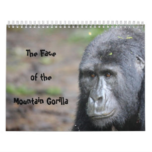 The Face of the Mountain Gorilla/ No US Holidays Calendar