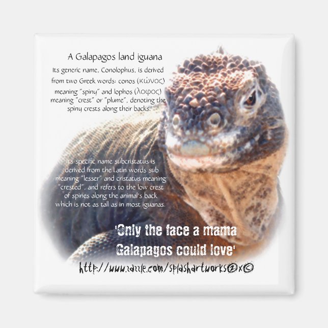"The face only it's mama could love" Magnet (Front)