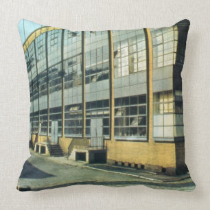 The Fagus Shoe Factory, designed by Walter Gropius Cushion