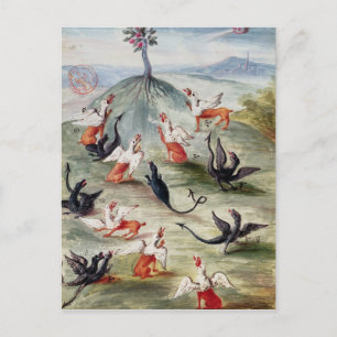 The Fair Flower on the Mountain' Postcard