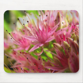 The Fairy Crown Mouse Pad