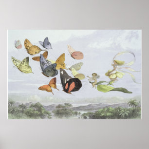 The Fairy Queen's Carriage   Elf World Poster