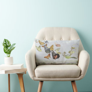 The Fairy Queen's carriage, illustration from 'In Lumbar Cushion