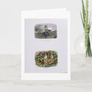 The Fairy Queen's Messenger, and Elf and Owls, ill Holiday Card