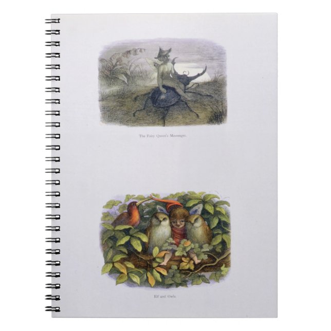 The Fairy Queen's Messenger, and Elf and Owls, ill Notebook (Front)