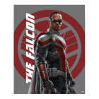 The Falcon Character Art