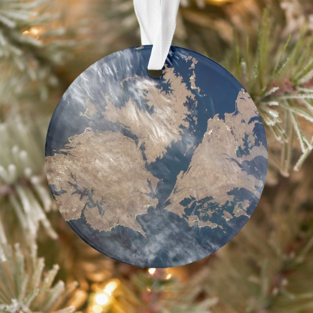 The Falkland Islands (Islas Malvinas). Ornament (Tree)