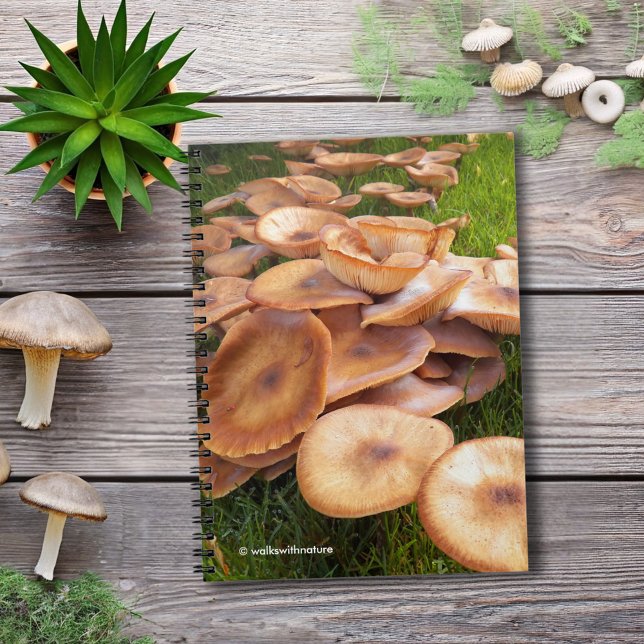 The Fall of Mushrooms Notebook (The Fall of Mushrooms Journal Cover Photo)