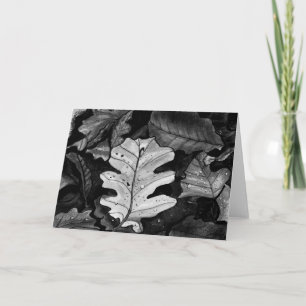 The Fallen Blank Greeting Card