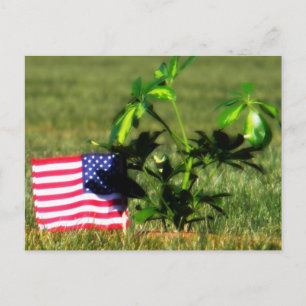 The Fallen Postcard