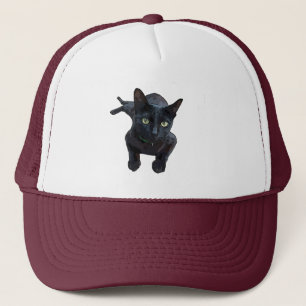 The Fascinating Appeal of Black Cat Trucker Hat