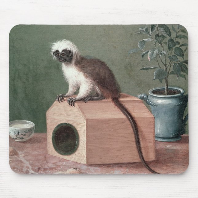 The Favourite Monkey of Carl Linnaeus Mouse Pad (Front)