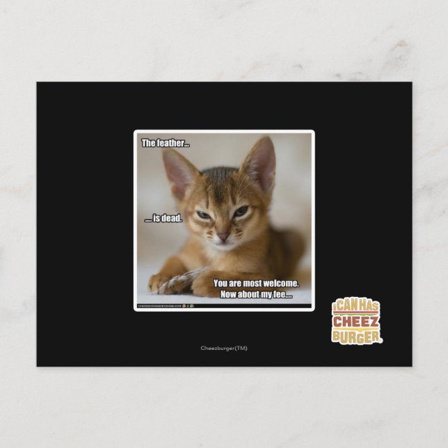 The feather is dead. postcard (Front)