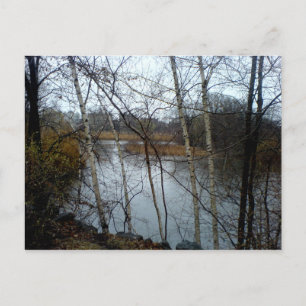 The Fens, Back Bay, Boston Postcard