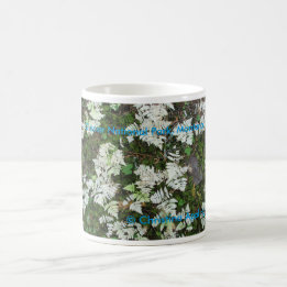 The Ferns at Glacier National Park, Montana Mug