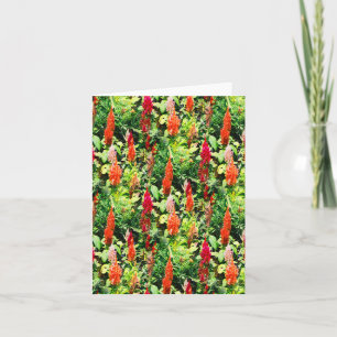 The Field of flowers..... Card