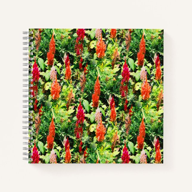 The Field of flowers..... Notebook (Front)