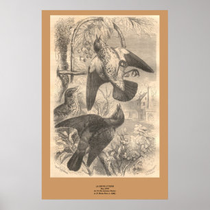 The Fieldfares Poster