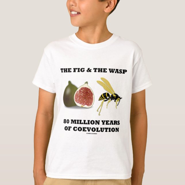 The Fig & The Wasp 80 Million Years Of Coevolution T-Shirt (Front)