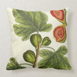 The Fig Tree, plate 125 from 'A Curious Herbal', p Cushion