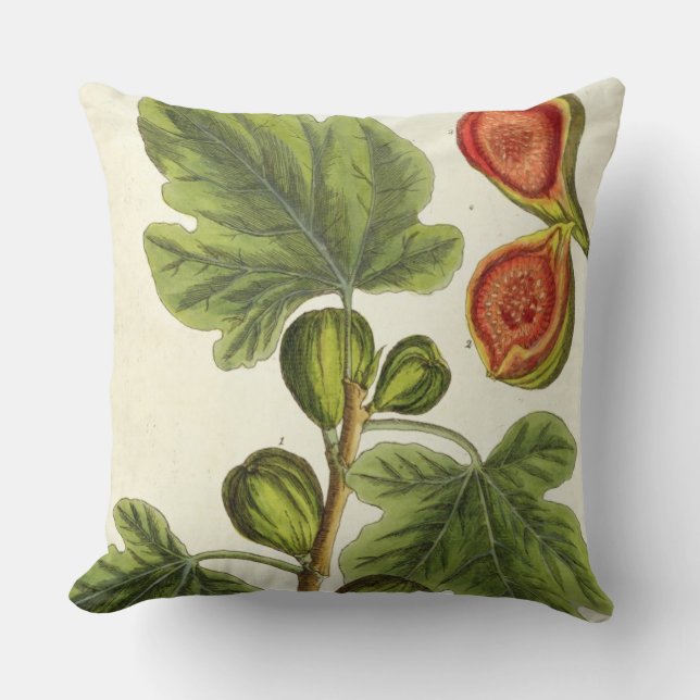 The Fig Tree, plate 125 from 'A Curious Herbal', p Cushion (Front)