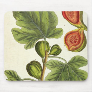 The Fig Tree, plate 125 from 'A Curious Herbal', p Mouse Pad
