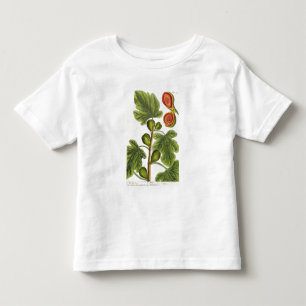 The Fig Tree, plate 125 from 'A Curious Herbal', p Toddler T-Shirt