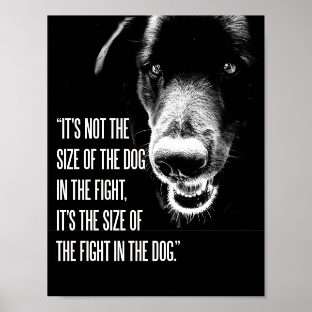 The Fight In The Dog Poster (Front)