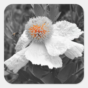 The Fire Within Square Sticker