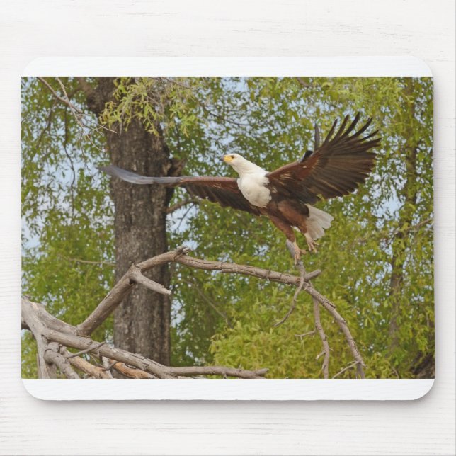 The Fish Eagle Flies, Botswasna. Mouse Pad (Front)