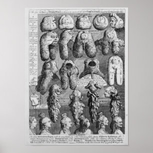 The Five Orders of Perriwigs, 1761 Poster