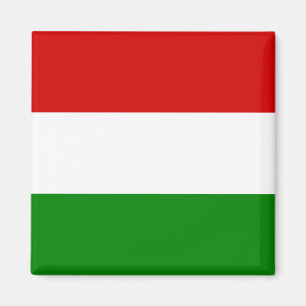The Flag of Hungary Magnet