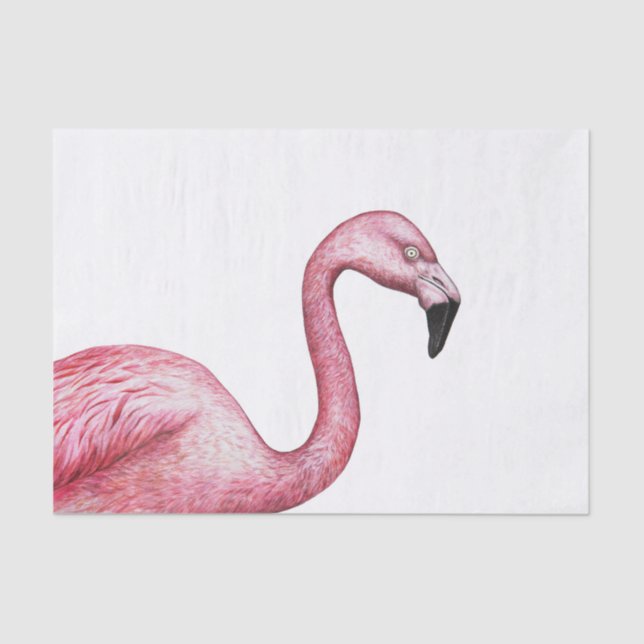 The Flamingo Tissue Paper (Front)