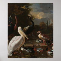 The Floating Feather